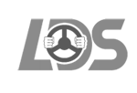 liz driving logo